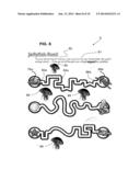 METHOD FOR DEVELOPING PERCEPTUAL MOTOR SKILLS diagram and image