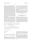 RNase H-Based Assays Utilizing Modified RNA Monomers diagram and image