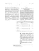 RNase H-Based Assays Utilizing Modified RNA Monomers diagram and image