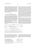 RNase H-Based Assays Utilizing Modified RNA Monomers diagram and image