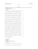 RNase H-Based Assays Utilizing Modified RNA Monomers diagram and image