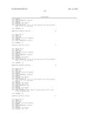 RNase H-Based Assays Utilizing Modified RNA Monomers diagram and image