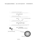 RNase H-Based Assays Utilizing Modified RNA Monomers diagram and image