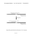 RNase H-Based Assays Utilizing Modified RNA Monomers diagram and image