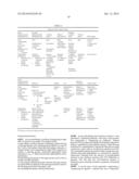 RNase H-Based Assays Utilizing Modified RNA Monomers diagram and image