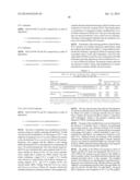 RNase H-Based Assays Utilizing Modified RNA Monomers diagram and image