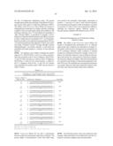 RNase H-Based Assays Utilizing Modified RNA Monomers diagram and image