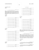 RNase H-Based Assays Utilizing Modified RNA Monomers diagram and image