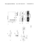 METHODS OF DETECTING LONG RANGE CHROMOSOMAL INTERACTIONS diagram and image