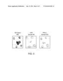 Compositions and Methods for Detecting Mycobacterium diagram and image