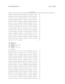 GENE CODED FOR A MHC CLASS I MOLECULE, PLASMID, EXPRESSION SYSTEM PROTEIN,     MULTIMER, REAGENT AND KIT TO ANALYZE A T CELL FREQUENCY diagram and image