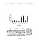 NUCLEOTIDE SEQUENCES, METHODS, KIT AND A RECOMBINANT CELL THEREOF diagram and image