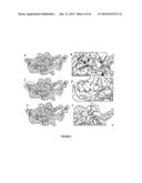 NUCLEOTIDE SEQUENCES, METHODS, KIT AND A RECOMBINANT CELL THEREOF diagram and image