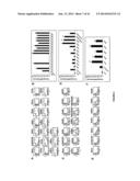 NUCLEOTIDE SEQUENCES, METHODS, KIT AND A RECOMBINANT CELL THEREOF diagram and image