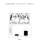 NUCLEOTIDE SEQUENCES, METHODS, KIT AND A RECOMBINANT CELL THEREOF diagram and image