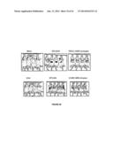 NUCLEOTIDE SEQUENCES, METHODS, KIT AND A RECOMBINANT CELL THEREOF diagram and image