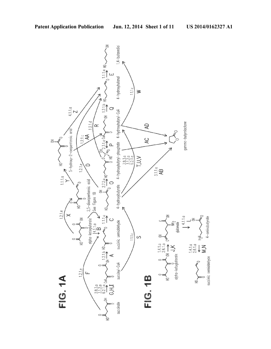 MICROORGANISMS AND METHODS FOR THE COPRODUCTION 1,4-BUTANEDIOL AND     GAMMA-BUTYROLACTONE - diagram, schematic, and image 02