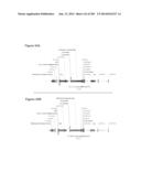 ISOPRENE PRODUCTION USING THE DXP AND MVA PATHWAY diagram and image