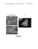 METHOD FOR PRODUCING A POROUS CALCIUM POLYPHOSPHATE STRUCTURE diagram and image