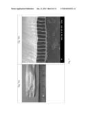 ELECTROSPINNING APPARATUS WITH A SIDEWAY MOTION DEVICE AND A METHOD OF     USING THE SAME diagram and image