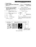 METHODS OF USING GENE EXPRESSION SIGNATURES TO SELECT A METHOD OF     TREATMENT, PREDICT PROGNOSIS, SURVIVAL, AND/OR PREDICT RESPONSE TO     TREATMENT diagram and image