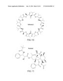 EVAPORATIVE EDGE LITHOGRAPHY OF A LIPOSOMAL DRUG MICROARRAY FOR CELL     MIGRATION ASSAYS diagram and image