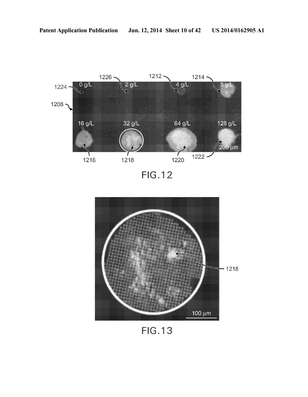 EVAPORATIVE EDGE LITHOGRAPHY OF A LIPOSOMAL DRUG MICROARRAY FOR CELL     MIGRATION ASSAYS - diagram, schematic, and image 11