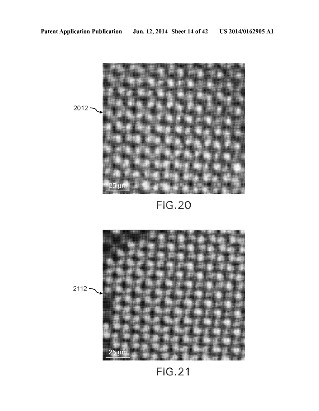 EVAPORATIVE EDGE LITHOGRAPHY OF A LIPOSOMAL DRUG MICROARRAY FOR CELL     MIGRATION ASSAYS - diagram, schematic, and image 15