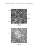 EVAPORATIVE EDGE LITHOGRAPHY OF A LIPOSOMAL DRUG MICROARRAY FOR CELL     MIGRATION ASSAYS diagram and image
