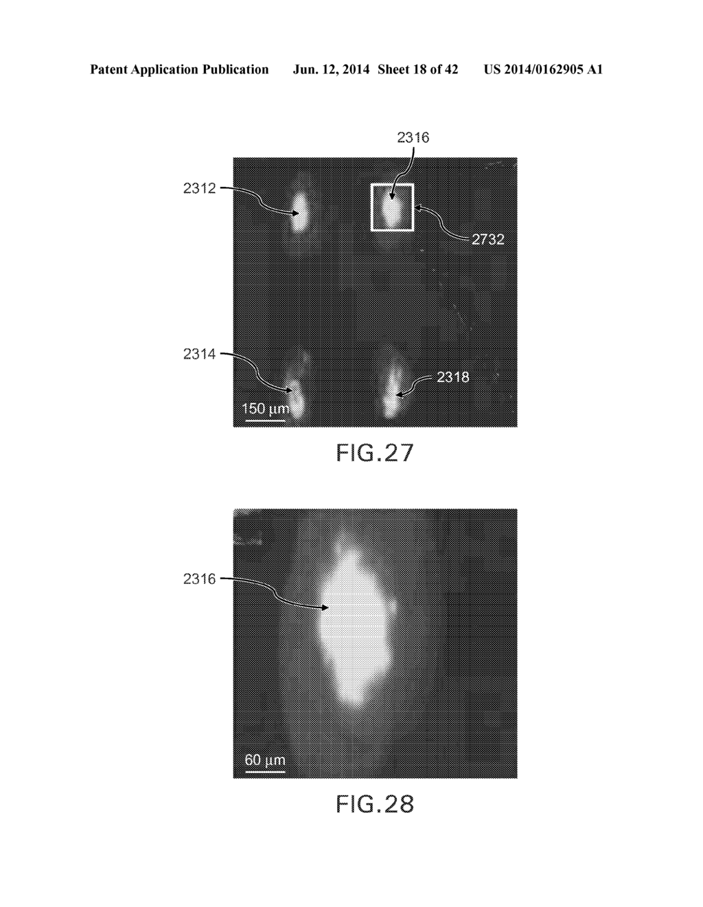 EVAPORATIVE EDGE LITHOGRAPHY OF A LIPOSOMAL DRUG MICROARRAY FOR CELL     MIGRATION ASSAYS - diagram, schematic, and image 19