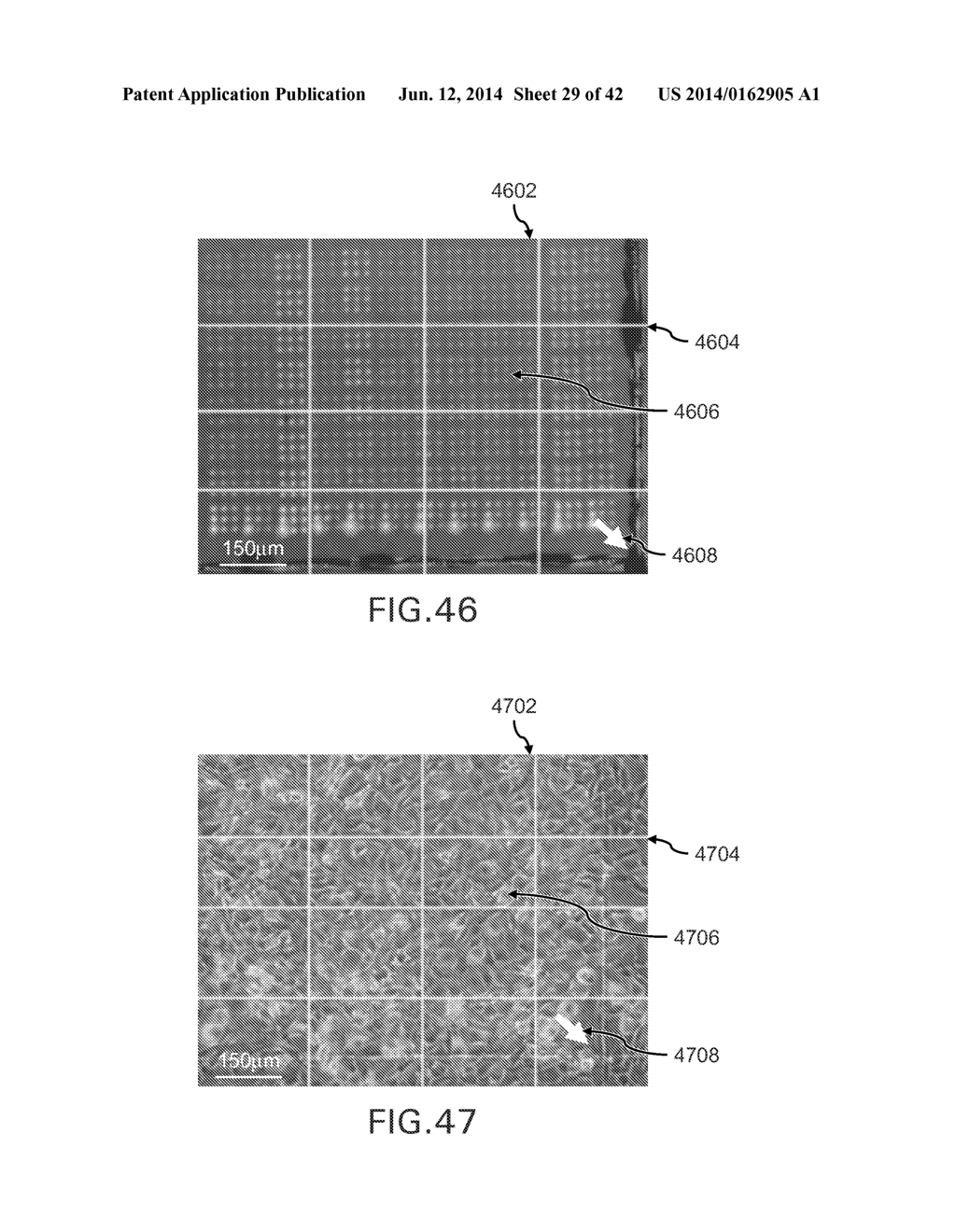 EVAPORATIVE EDGE LITHOGRAPHY OF A LIPOSOMAL DRUG MICROARRAY FOR CELL     MIGRATION ASSAYS - diagram, schematic, and image 30