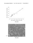 EVAPORATIVE EDGE LITHOGRAPHY OF A LIPOSOMAL DRUG MICROARRAY FOR CELL     MIGRATION ASSAYS diagram and image