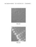 EVAPORATIVE EDGE LITHOGRAPHY OF A LIPOSOMAL DRUG MICROARRAY FOR CELL     MIGRATION ASSAYS diagram and image