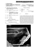 LUBRICATING COATING AGENT FOR PLASTIC WORKING AND METHOD FOR PRODUCING THE     SAME diagram and image