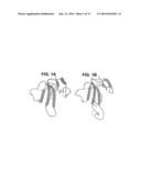 COMPOSITIONS AND METHODS FOR TRANSPORT ACROSS THE BLOOD BRAIN BARRIER diagram and image