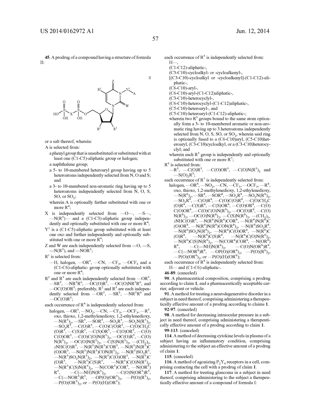 URIDINE DIPHOSPHATE DERIVATIVES, PRODRUGS, COMPOSITIONS AND METHODS FOR     TREATING NEURODEGENERATIVE DISORDERS - diagram, schematic, and image 74