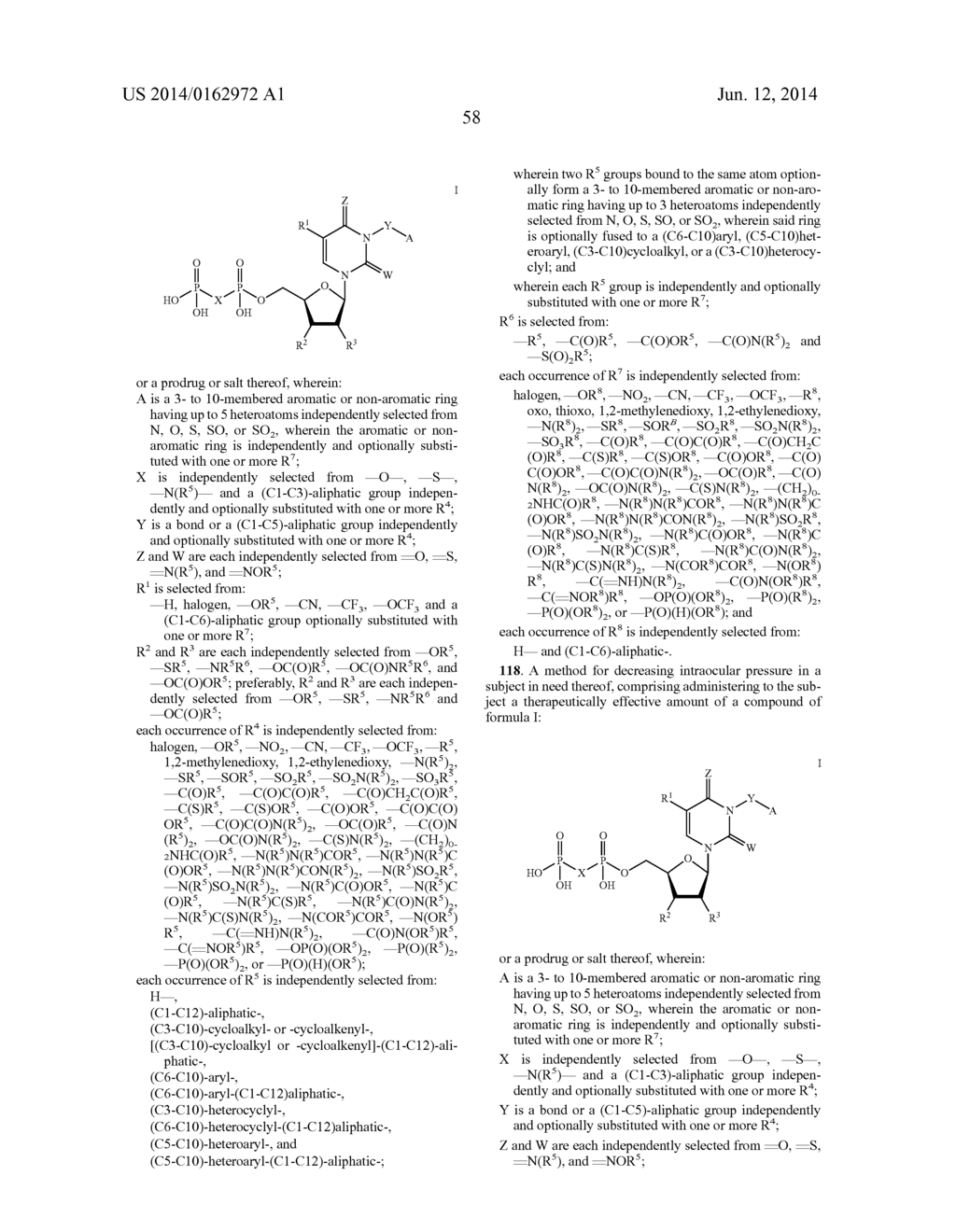 URIDINE DIPHOSPHATE DERIVATIVES, PRODRUGS, COMPOSITIONS AND METHODS FOR     TREATING NEURODEGENERATIVE DISORDERS - diagram, schematic, and image 75