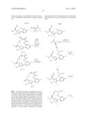 CYCLIC P1 LINKERS AS FACTOR XIA INHIBITORS diagram and image