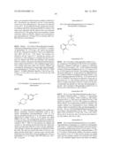 CYCLIC P1 LINKERS AS FACTOR XIA INHIBITORS diagram and image