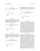 CYCLIC P1 LINKERS AS FACTOR XIA INHIBITORS diagram and image