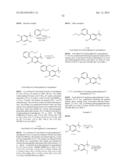 MODULATORS OF ATP-BINDING CASSETTE TRANSPORTERS diagram and image