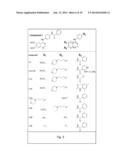 INHIBITION OF ACTIVATED CDC42-ASSOCIATED KINASE 1 diagram and image