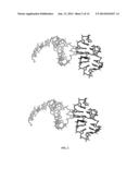 SCREENING METHODS FOR IDENTIFYING SPECIFIC STAPHYLOCOCCUS AUREUS     INHIBITORS diagram and image