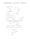 SCREENING METHODS FOR IDENTIFYING SPECIFIC STAPHYLOCOCCUS AUREUS     INHIBITORS diagram and image