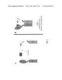 Mycobacterial Disease Detection, Treatment, and Drug Discovery diagram and image