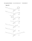 BETA-LACTONES AS ANTIBACTERIAL AGENTS diagram and image