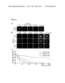 BETA-LACTONES AS ANTIBACTERIAL AGENTS diagram and image