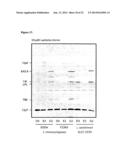 BETA-LACTONES AS ANTIBACTERIAL AGENTS diagram and image