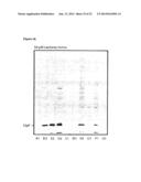 BETA-LACTONES AS ANTIBACTERIAL AGENTS diagram and image