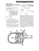 FILTER APPARATUS FOR OSTIUM OF LEFT ATRIAL APPENDAGE diagram and image